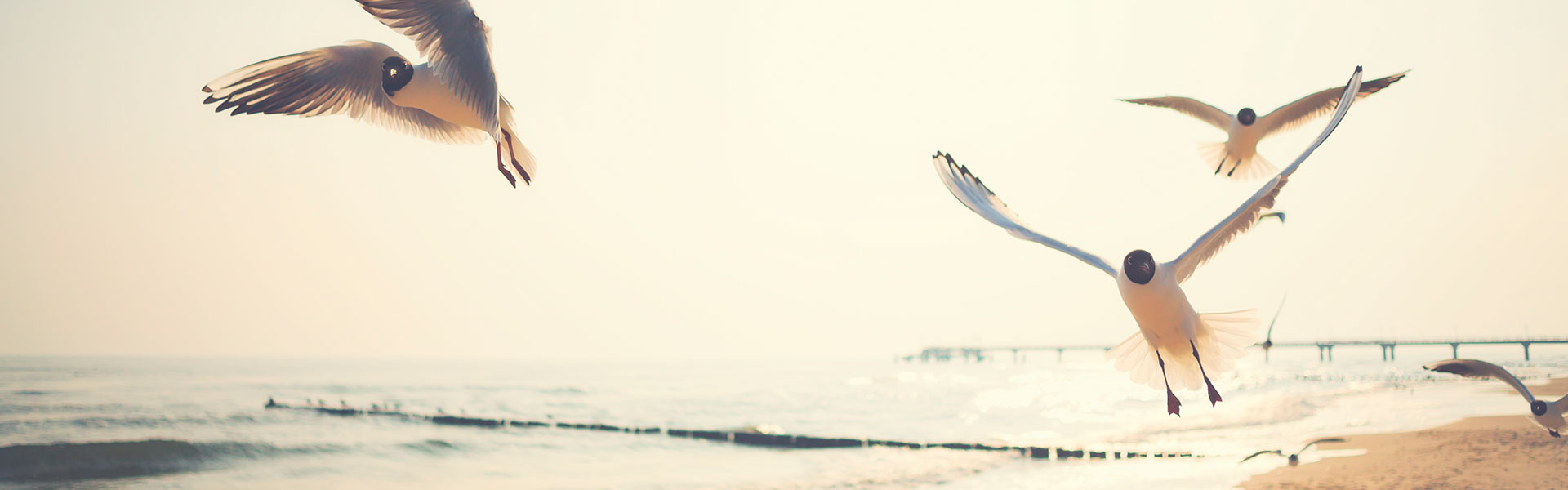 Do you have any questions, suggestions or criticism? Simply let us know using this contact form!